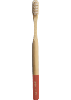 Adult Bamboo Toothbrush (Orange Handle) - 1 Brush