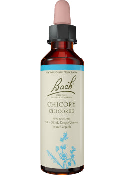 Chicory - 20ml