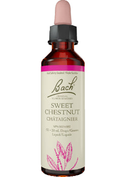 Sweet Chestnut - 20ml