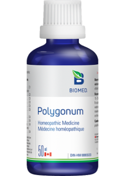 Polygonum - 50ml