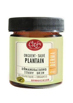Derma Plantain Salve (Organic) - 15ml - Clef Des Champs