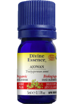 Ajowan Oil (Organic) - 5ml