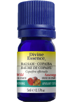 Balsam Copaiba Oil (Wild) - 5ml
