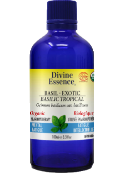 Basil Exotic Oil (Organic) - 100ml