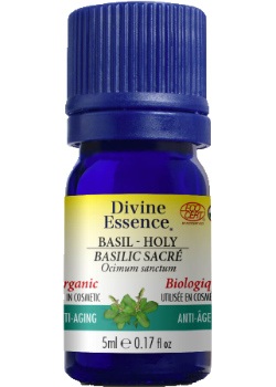 Basil Holy Oil (Organic) - 5ml