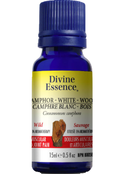 Camphor Wood Oil (White, Wild) - 15ml