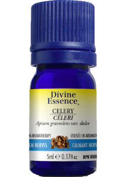 Celery Oil - 5ml