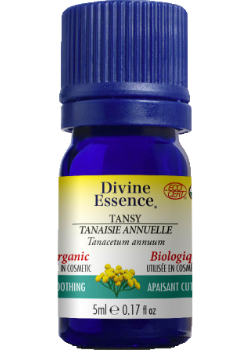 Chamomile Oil (Blue Tansy, Organic) - 5ml
