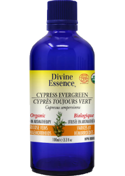 Cypress Oil (Evergreen, Organic) - 100ml