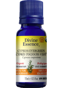 Cypress Oil (Evergreen, Organic) - 15ml
