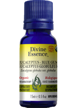 Eucalyptus Oil (Blue Gum, Organic) - 15ml