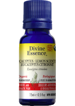 Eucalyptus Oil (Lemon Scented, Organic) - 15ml