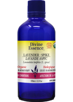 Lavender Oil (Spike, Organic) -100ml