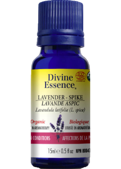 Lavender Oil (Spike, Organic) - 15ml