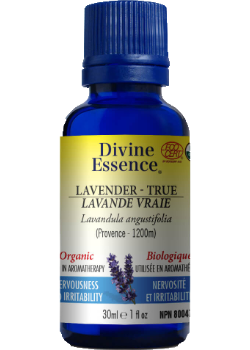 Lavender Oil (True Provence, Organic) - 30ml
