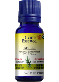 Niaouli Oil (Cineole, Organic) - 15ml