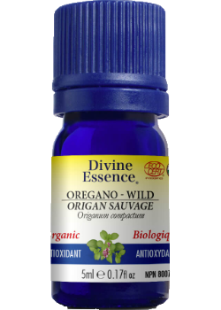 Oregano Oil (Wild, Organic) - 5ml