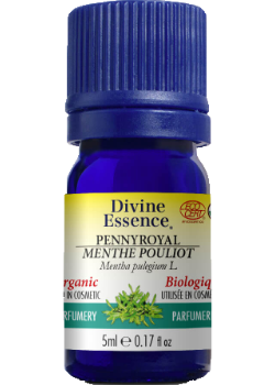 Pennyroyal Oil (Organic) - 5ml