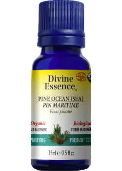 Pine Ocean Oil (Sea, Organic) - 15ml