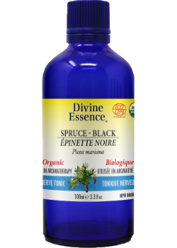 Spruce Oil (Black, Organic) - 100ml