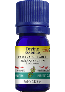 Tamarack Oil (Larch, Organic) - 5ml