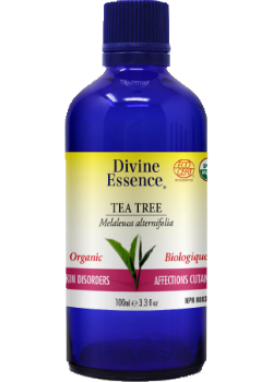 Tea Tree Oil (Organic) - 100ml