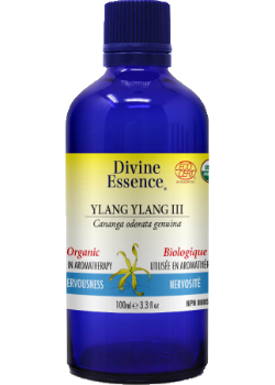 Ylang Ylang III Oil (Organic) - 100ml