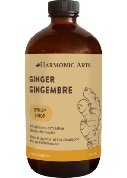 Ginger Syrup - 250ml