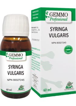 Syringa Vulgaris (Gemmo) - 60ml