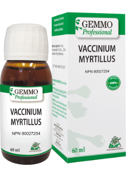 Vaccinium Myrtillus (Gemmo) - 60ml