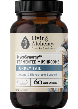 Mycosynergy Fermented Mushrooms Turkey Tail - 60 V-Caps
