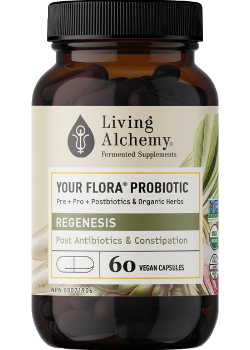 Your Flora Probiotic Regenesis (Post Antibiotics & Constipation) - 60 V-Caps