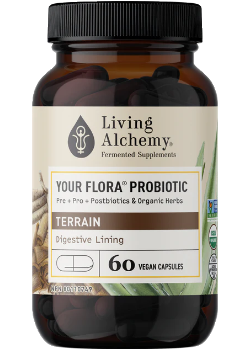 Your Flora Probiotic Terrain (Digestive Lining) - 60 V-Caps