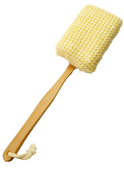Sisal Back Brush (Wood Handle) - 1 Brush