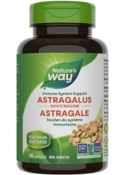Astragalus Root 470mg - 100 Caps
