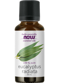 Eucalyptus Radiata Oil - 30ml