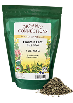 Plantain Leaf (Organic Loose) - 454g - Organic Connections