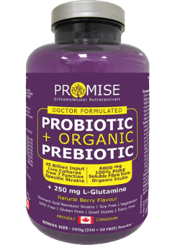 Probiotic + Organic Prebiotic (Berry) - 300g