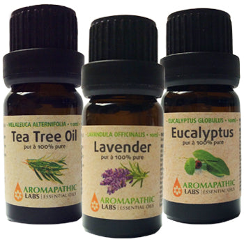 Essential Oil Trio (Eucalyptus, Lavender, Tea Tree) - 3 x 10ml + BONUS