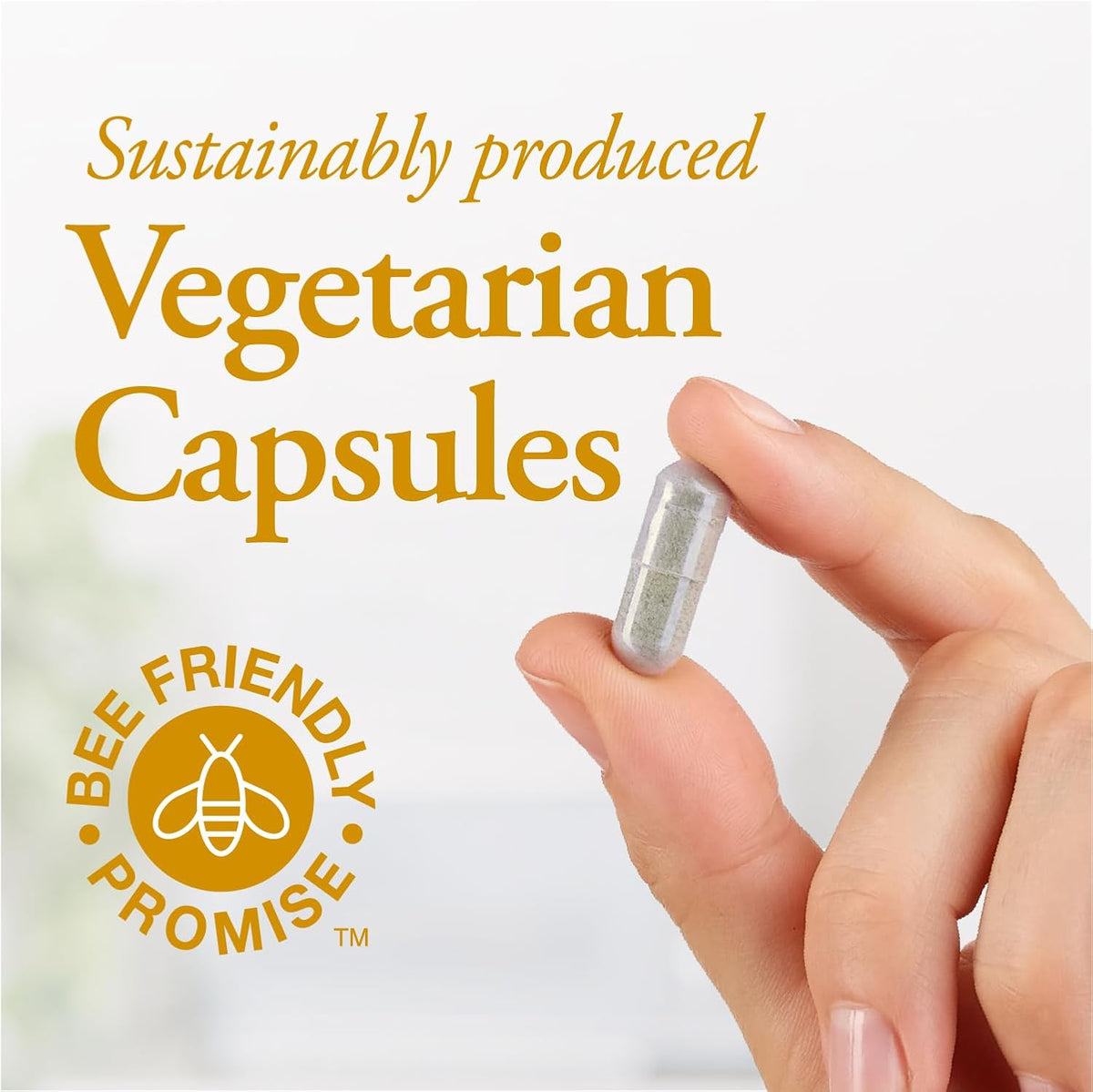 Bee Pollen Capsules 500mg - 90 V-Caps [amazon_upc] asin:B008SC8J00