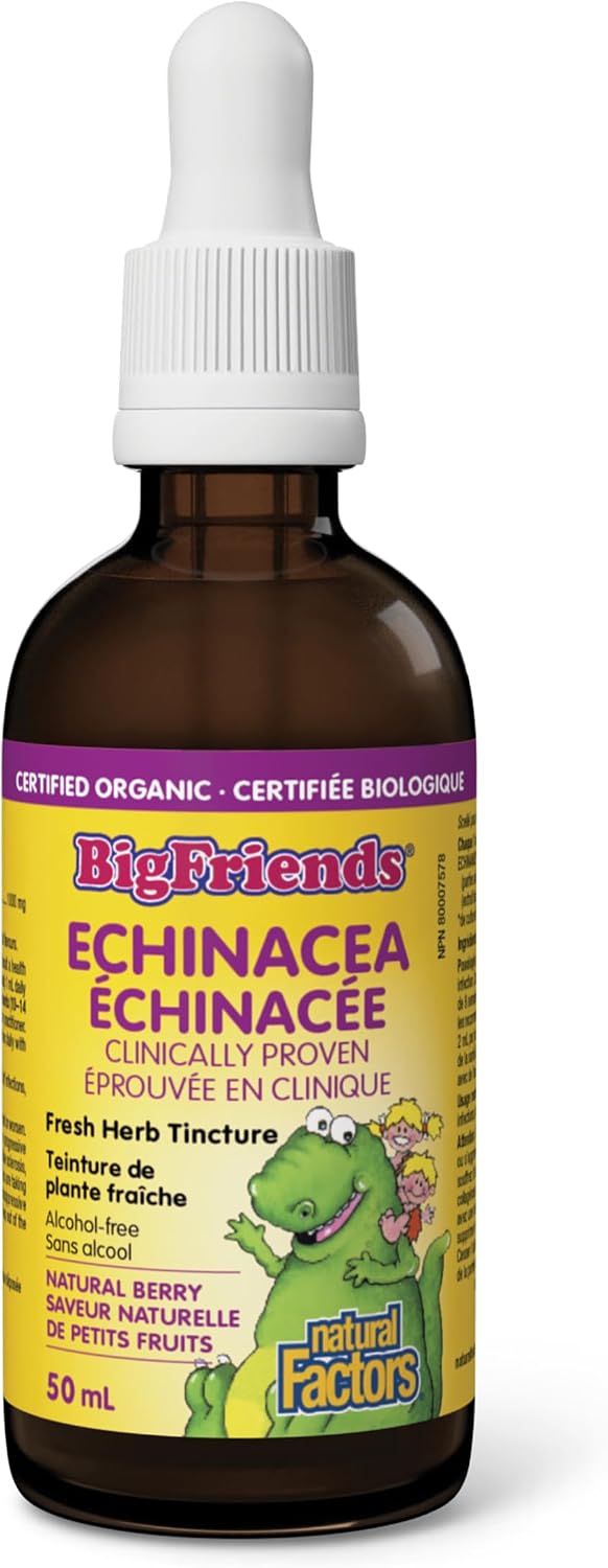 Big Friends Echinacea Fresh Herb Tincture (Natural Berry) - 50ml [amazon_upc] asin:B0DY363BGV