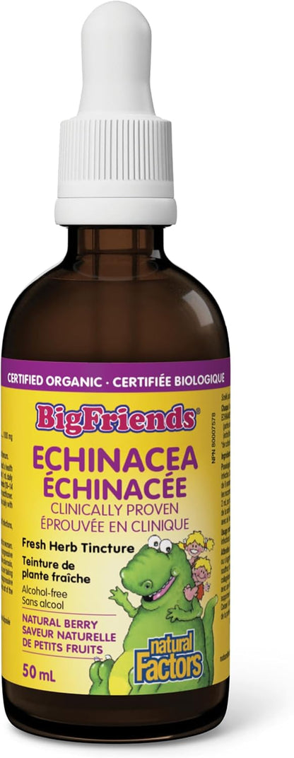 Big Friends Echinacea Fresh Herb Tincture (Natural Berry) - 50ml [amazon_upc] asin:B0DY363BGV