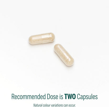 TPTP Pituitary 90mg - 60 V-Caps [amazon_upc] asin:B07BLMS979