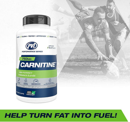 High Potency Carnitine - 90 V-Caps [amazon_upc] asin:B091ZGFRFJ