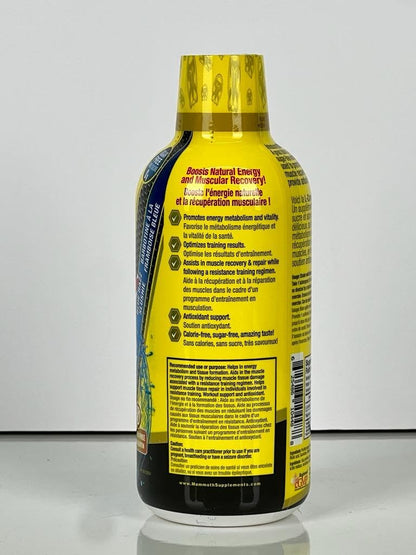 Mammoth L-Carnitine 1500 (Blue Razz Slushie) - 473ml [amazon_upc] asin:B099MTJS2N