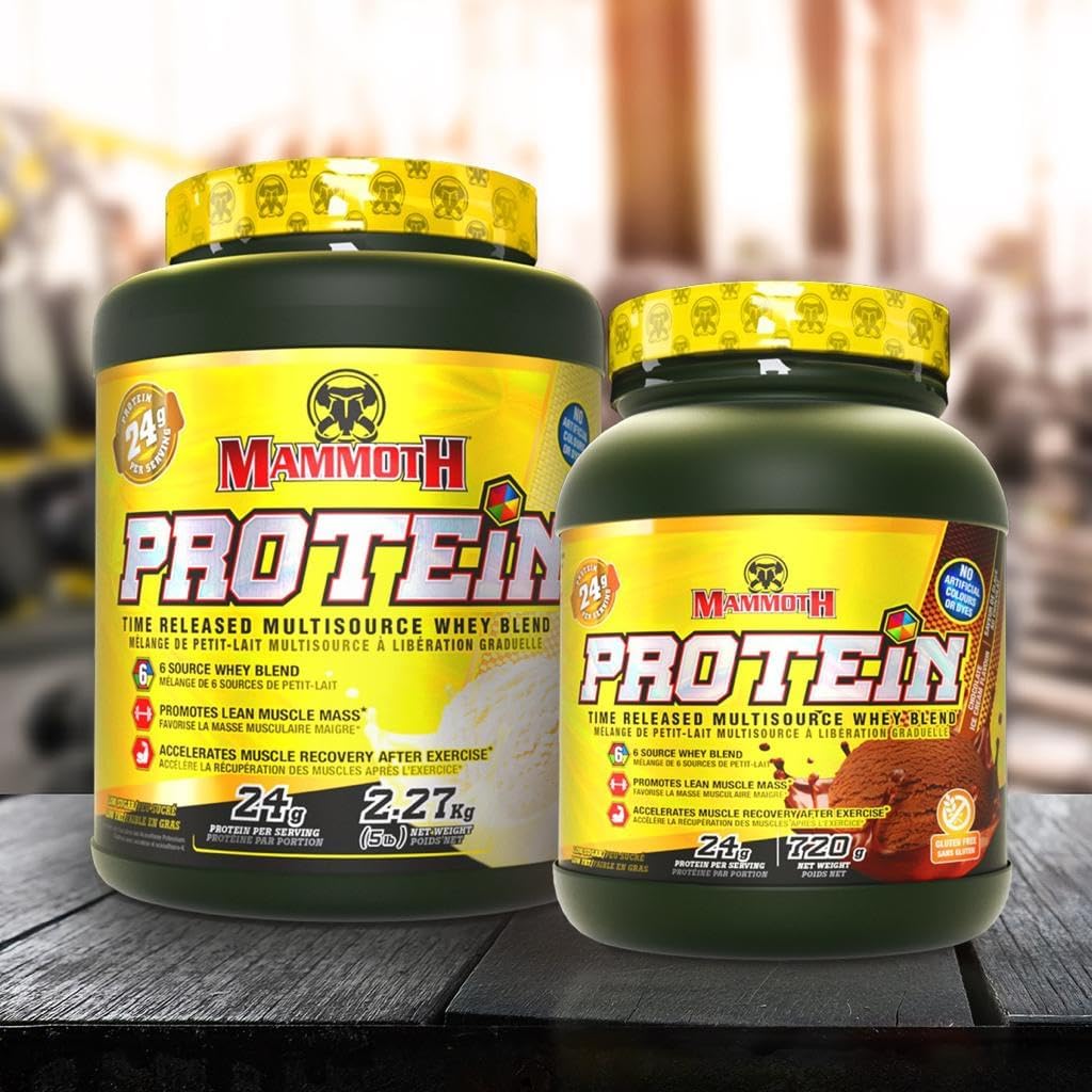 Mammoth Protein (Chocolate) - 1.6lb [amazon_upc] asin:B08CBWXNR7