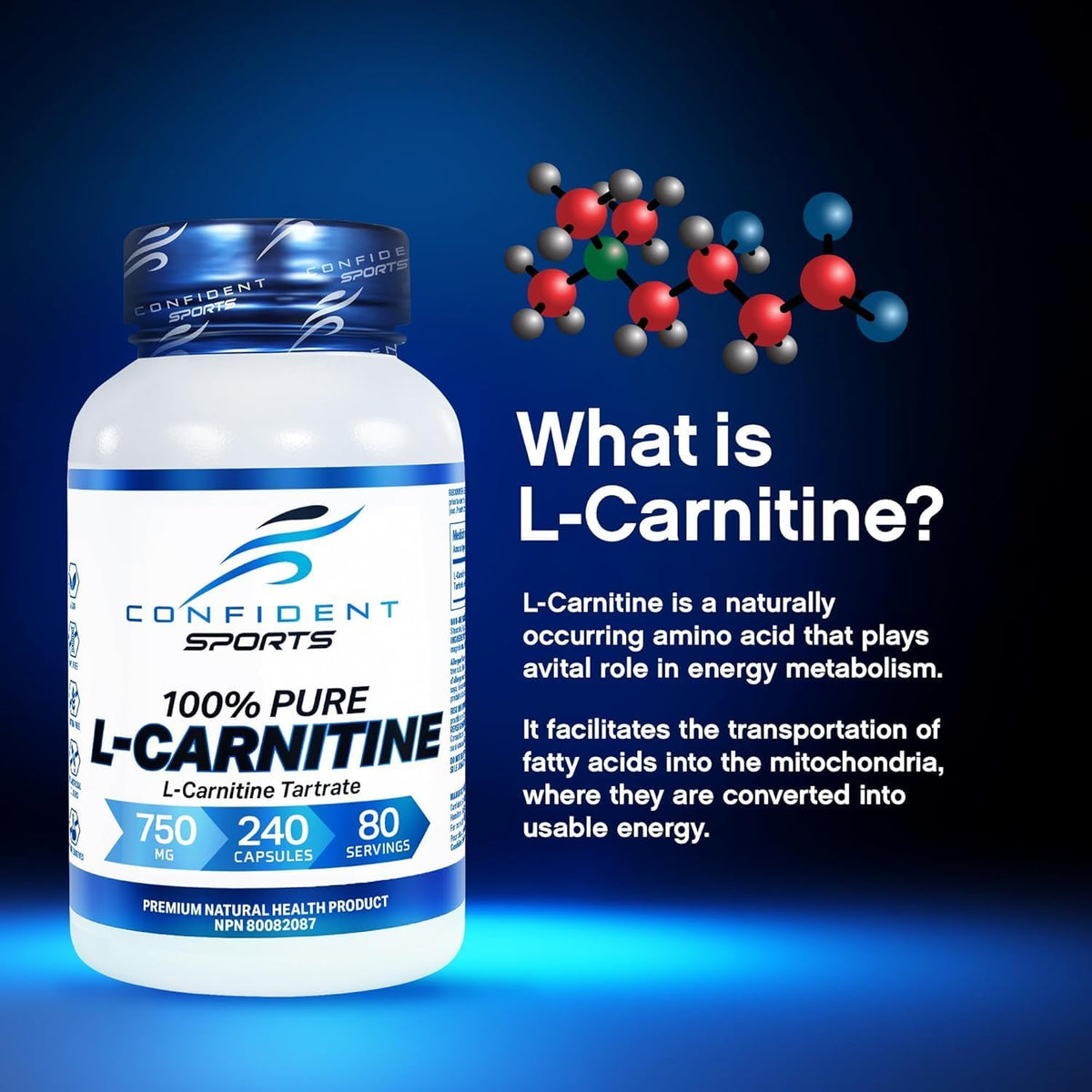 L-Carnitine 750mg - 240 + 120 Caps [amazon_upc] asin:B08N3W4KCW