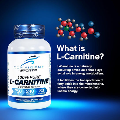 L-Carnitine 750mg - 240 + 120 Caps [amazon_upc] asin:B08N3W4KCW