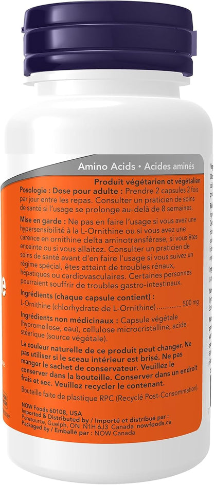 L-Ornithine 500mg - 60 Caps [amazon_upc] asin:B07HPQJKRL