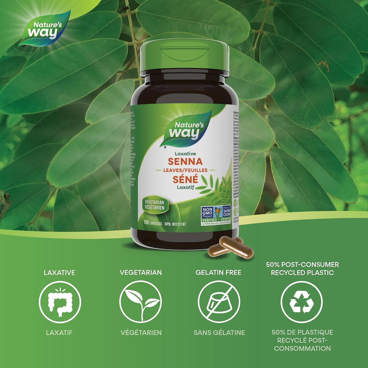 Senna Leaves 450mg - 100 Caps [amazon_upc] asin:B01LYKP941